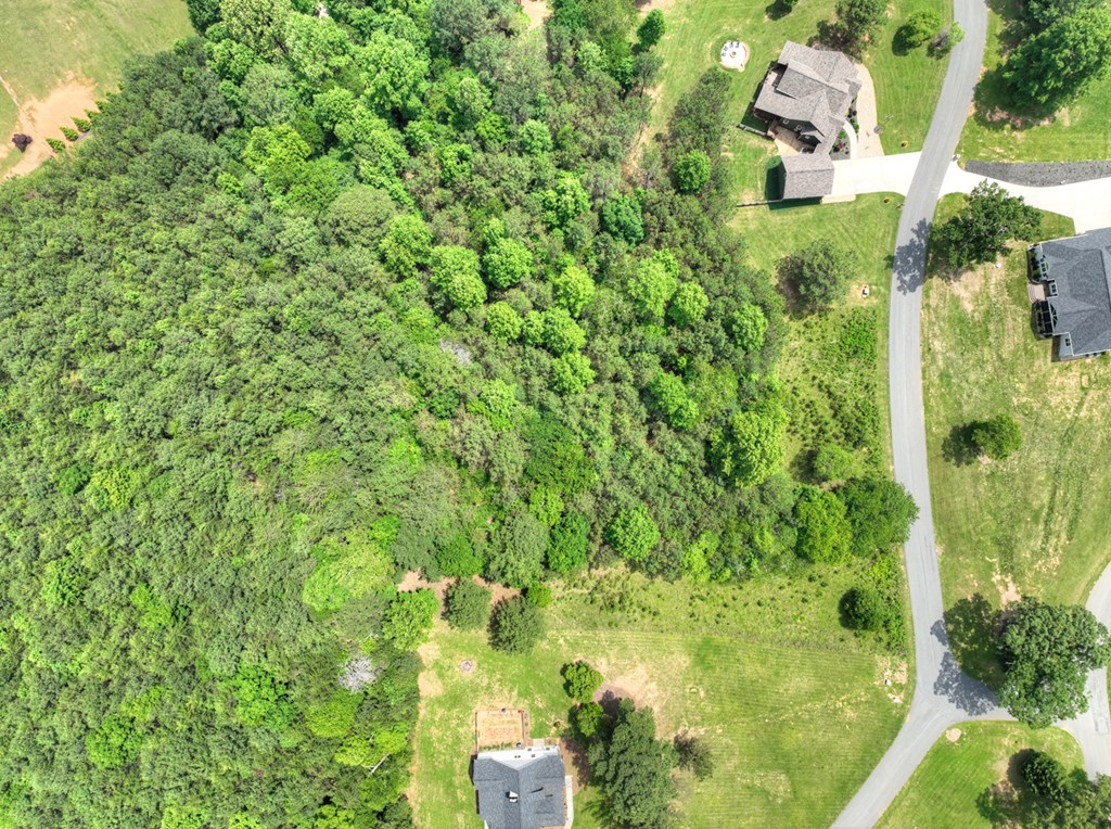 Lot 132 Fox Cove Road Blairsville, GA 30512 - Photo 29 of 35 a view of a garden