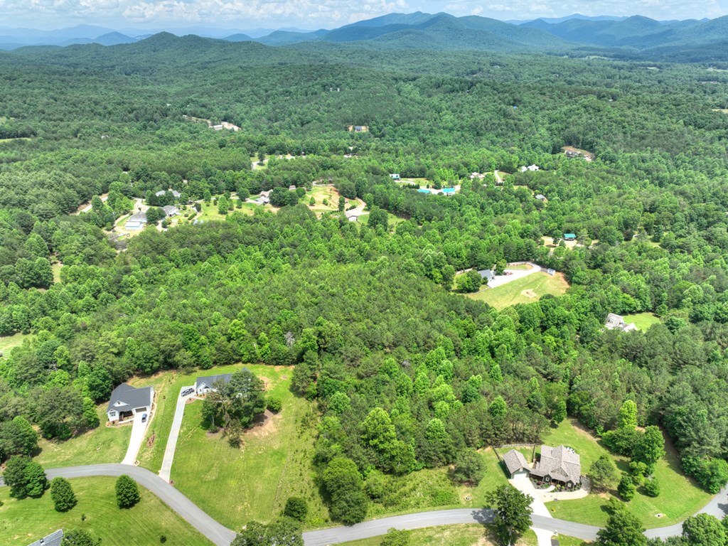 Lot 132 Fox Cove Road Blairsville, GA 30512 - Photo 30 of 35 a aerial view of a house with a yard