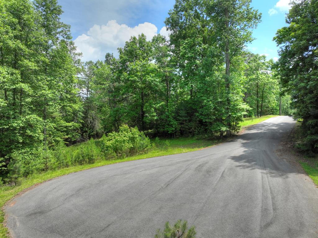 Lot 132 Fox Cove Road Blairsville, GA 30512 - Photo 31 of 35 a view of road with grass and trees