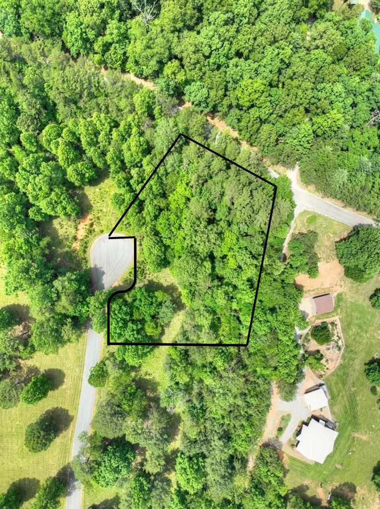 Lot 132 Fox Cove Road Blairsville, GA 30512 - Photo 36 of 36