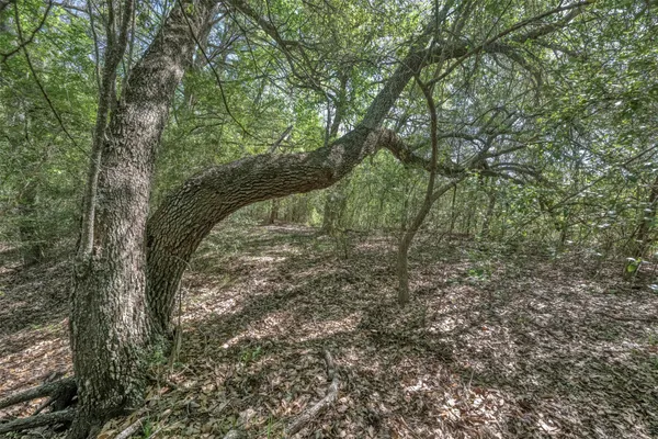 $3,395,000 | Tbd Cedar Hill Road, Brenham, TX 77833