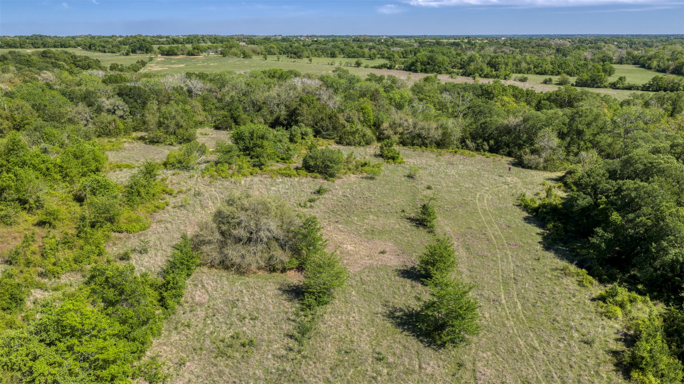 Tbd Cedar Hill Road Brenham, TX 77833 - Photo 12 of 34 a view of a forest with a street