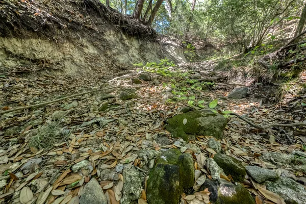 $3,395,000 | Tbd Cedar Hill Road, Brenham, TX 77833