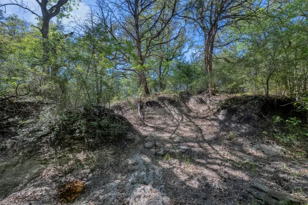 $3,395,000 | Tbd Cedar Hill Road, Brenham, TX 77833
