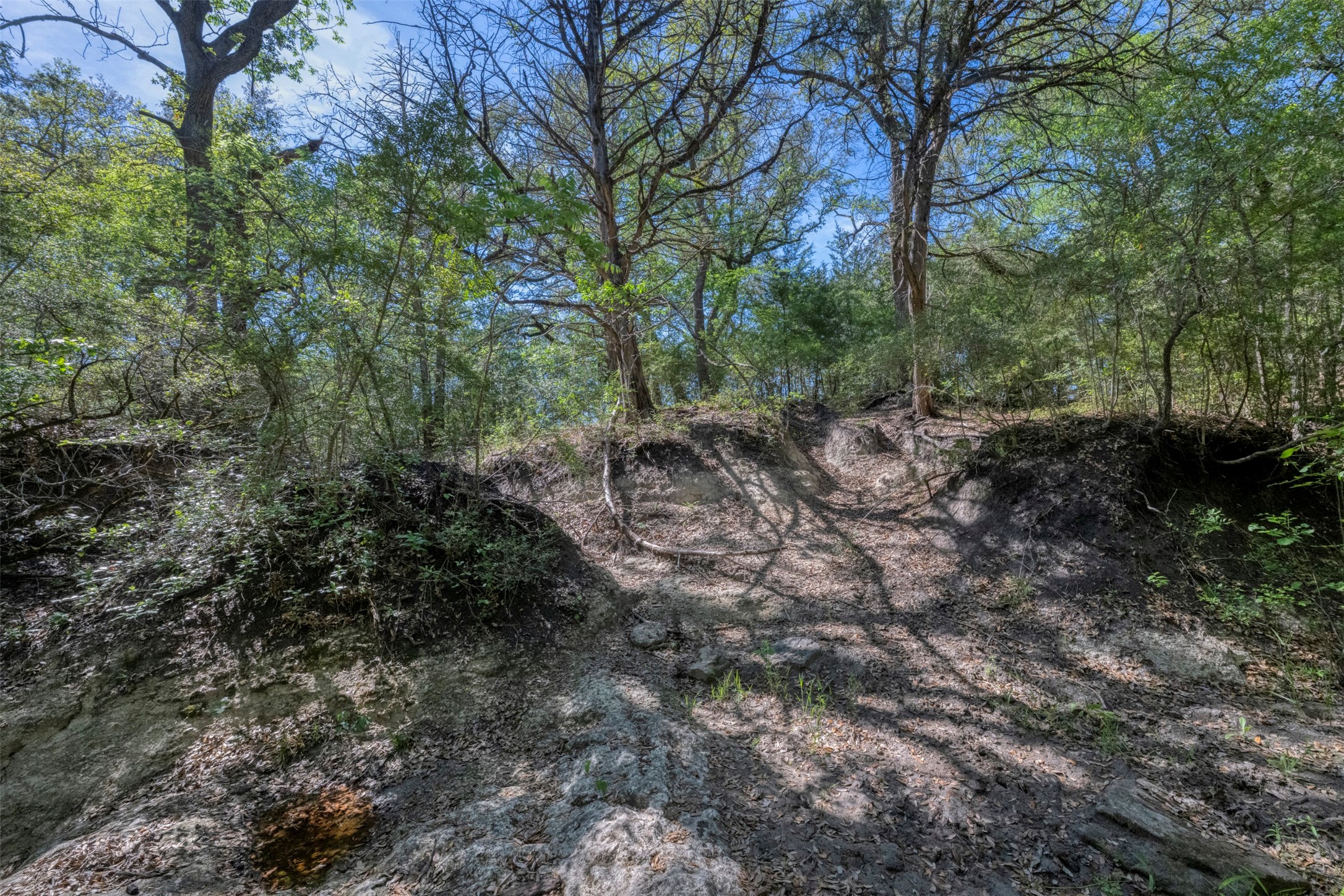Tbd Cedar Hill Road Brenham, TX 77833 - Photo 22 of 34 a big yard with lots of green space