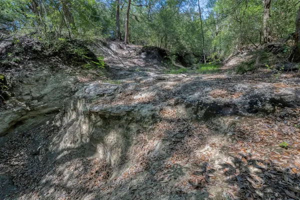 $3,395,000 | Tbd Cedar Hill Road, Brenham, TX 77833