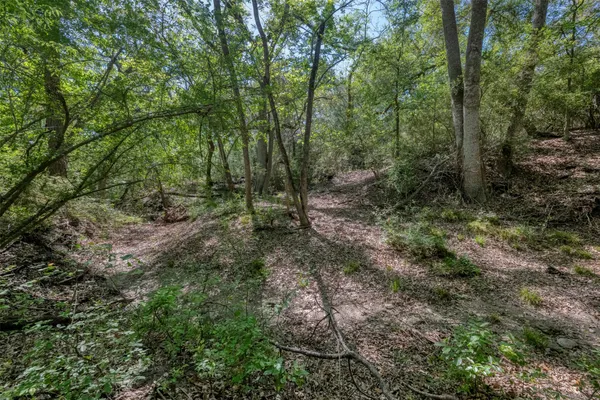 $3,395,000 | Tbd Cedar Hill Road, Brenham, TX 77833