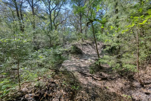 $3,395,000 | Tbd Cedar Hill Road, Brenham, TX 77833