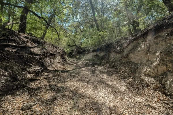 $3,395,000 | Tbd Cedar Hill Road, Brenham, TX 77833