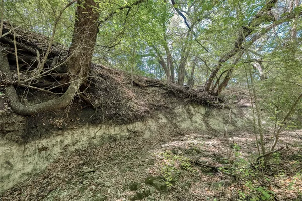 $3,395,000 | Tbd Cedar Hill Road, Brenham, TX 77833