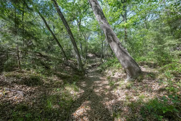 $3,395,000 | Tbd Cedar Hill Road, Brenham, TX 77833