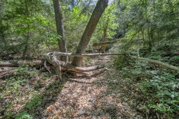 $3,395,000 | Tbd Cedar Hill Road, Brenham, TX 77833