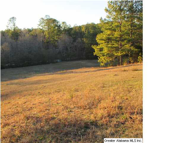 Deavers Town Road, Unit 21 Oneonta, AL 35121 - Photo 11 of 12 Gallery Image 11