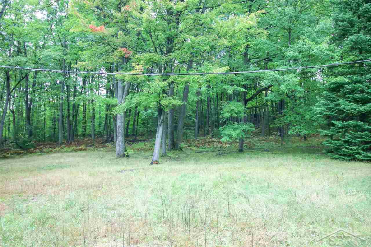 4042 Lone Pine Road Harrison, MI 48625 - Photo 4 of 4