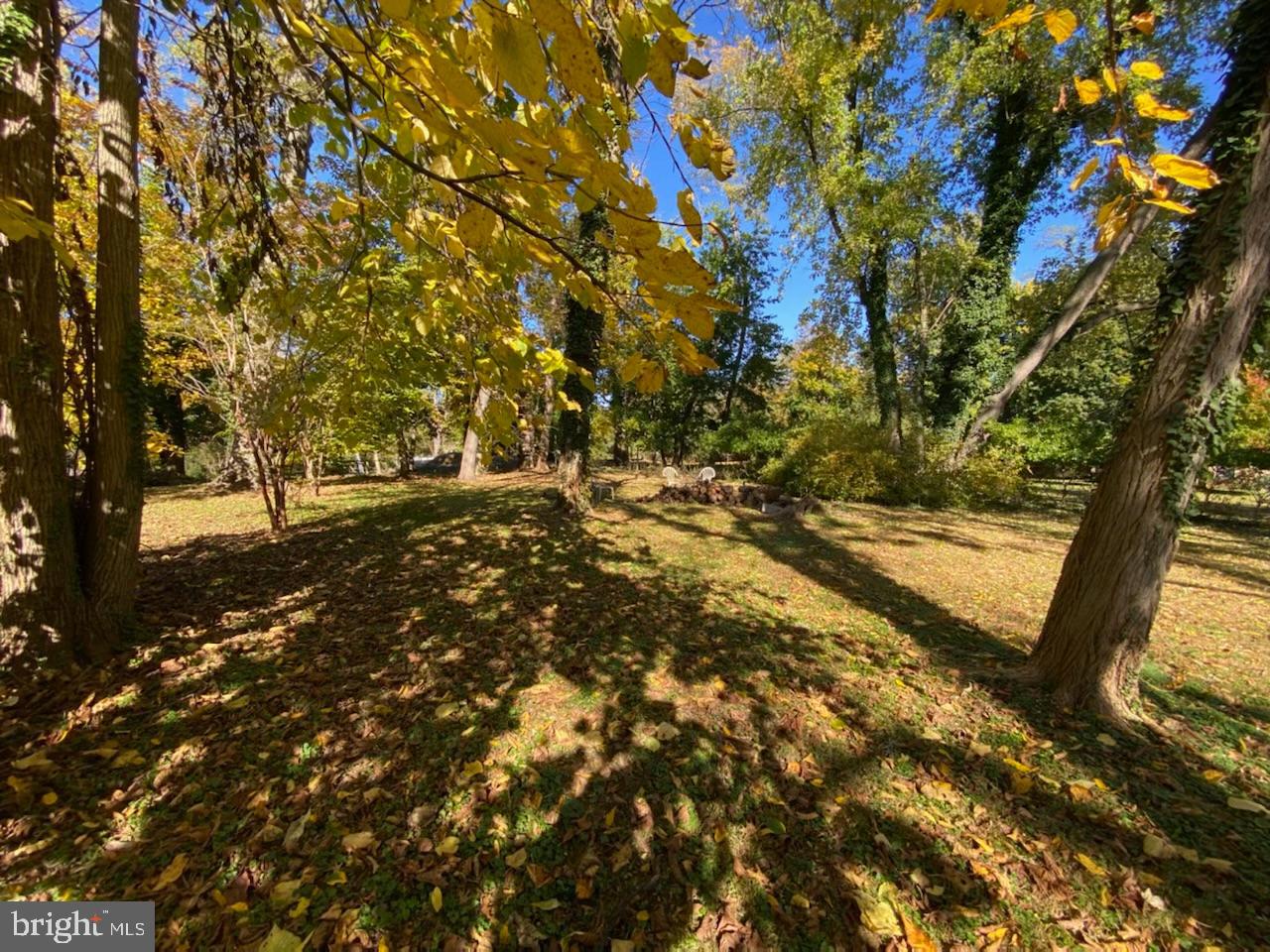 5713 Roland Avenue Baltimore, MD 21210 - Photo 23 of 29 a view of yard with trees