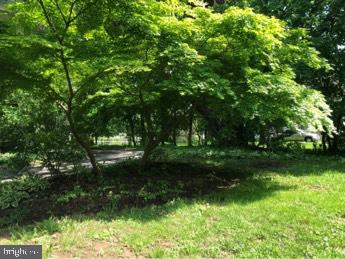 5713 Roland Avenue Baltimore, MD 21210 - Photo 25 of 29 a view of backyard with green space