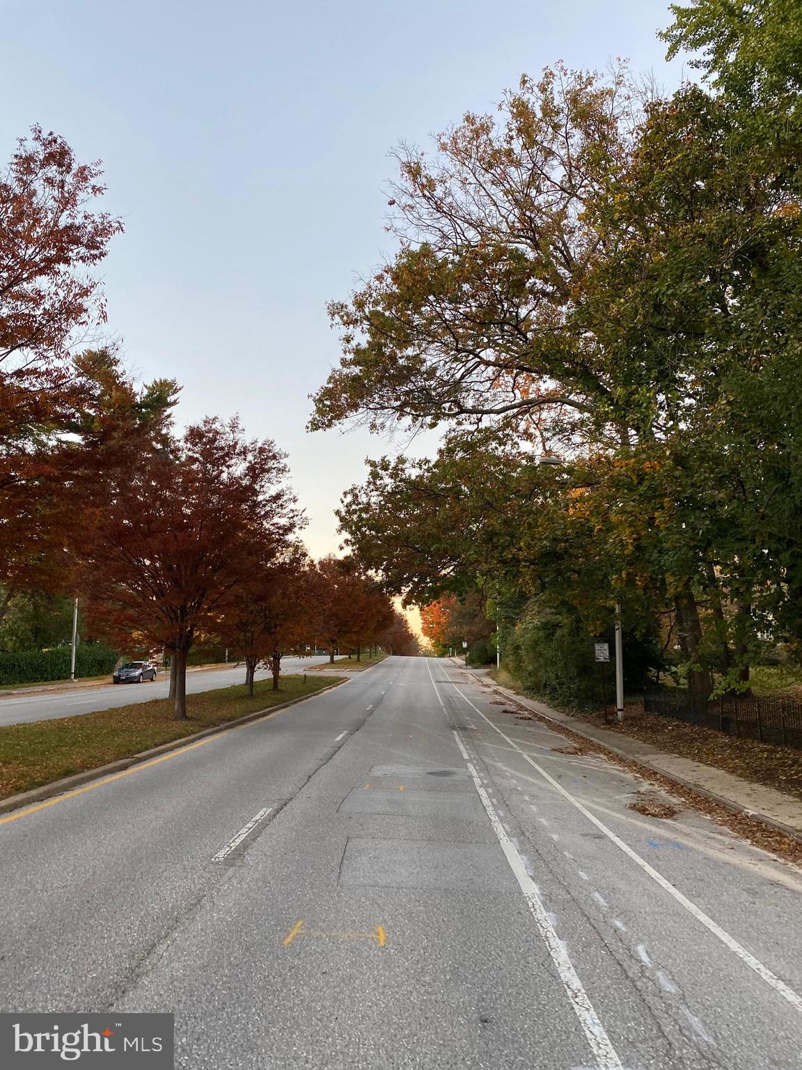 5713 Roland Avenue Baltimore, MD 21210 - Photo 28 of 29 a view of road with with trees