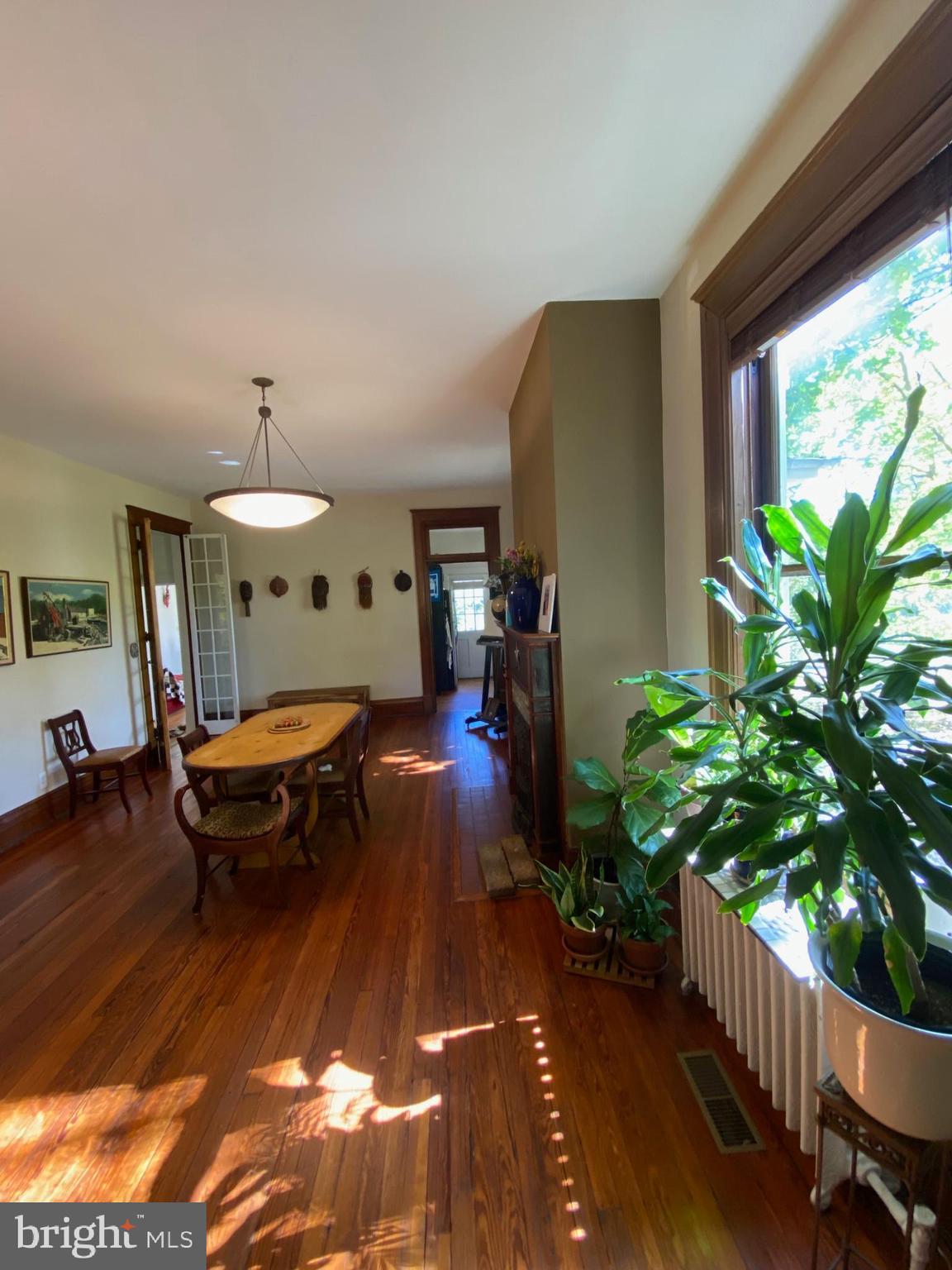 5713 Roland Avenue Baltimore, MD 21210 - Photo 5 of 29 a living room with furniture a potted plant and a large window