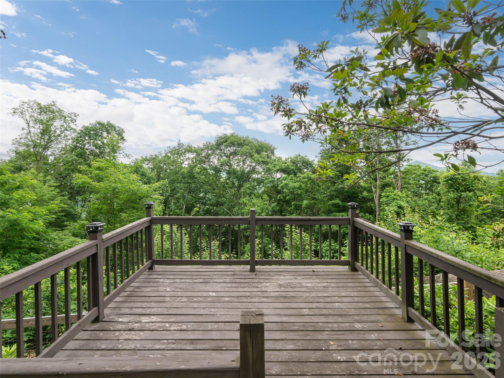 243 Pioneer Ridge Road Canton, NC 28716 - Photo 34 of 47