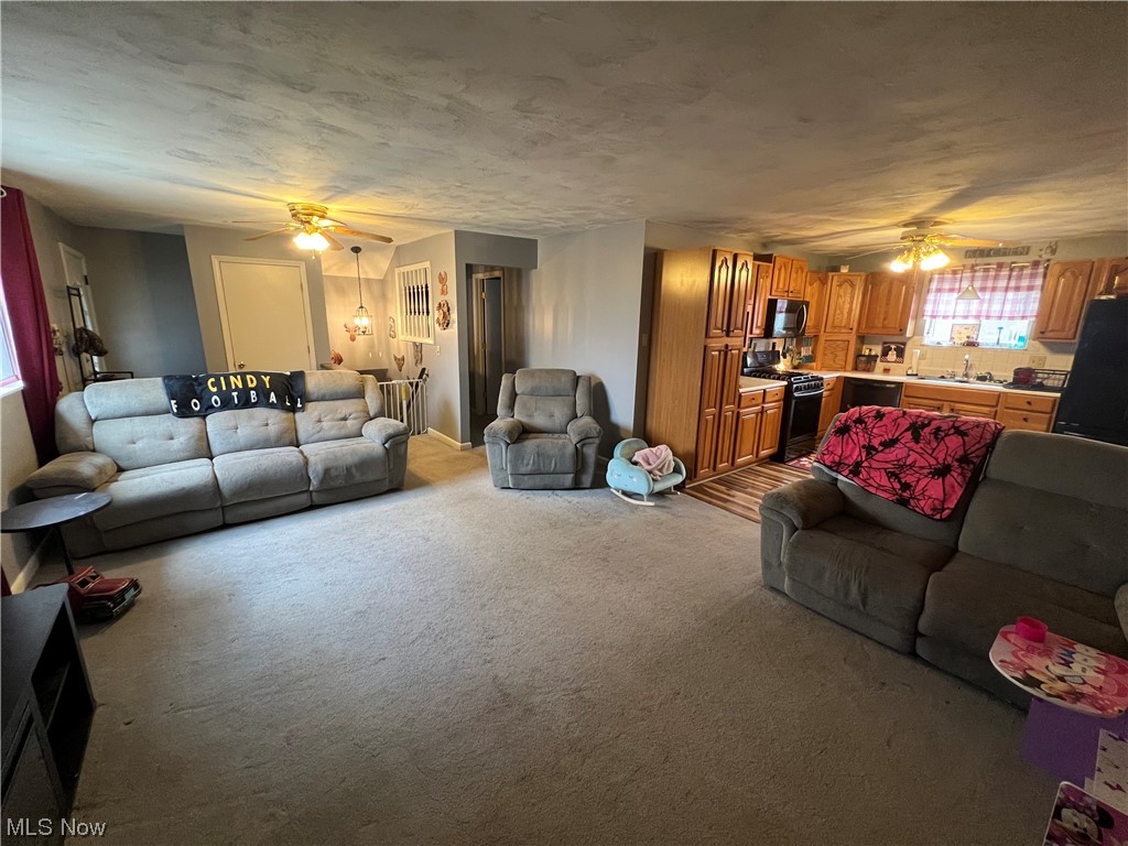 1012 Dugan Road Belpre, OH 45714 - Photo 11 of 29 Carpeted living room with sink and ceiling fan