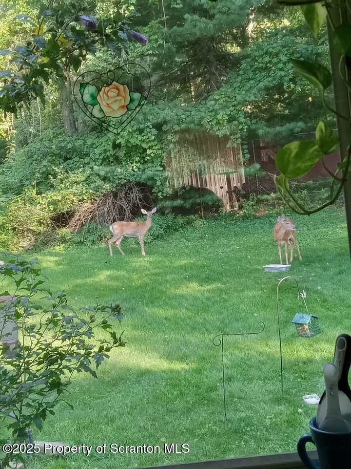 347 Terrace Avenue Shavertown, PA 18708 - Photo 11 of 59 BACK YARD