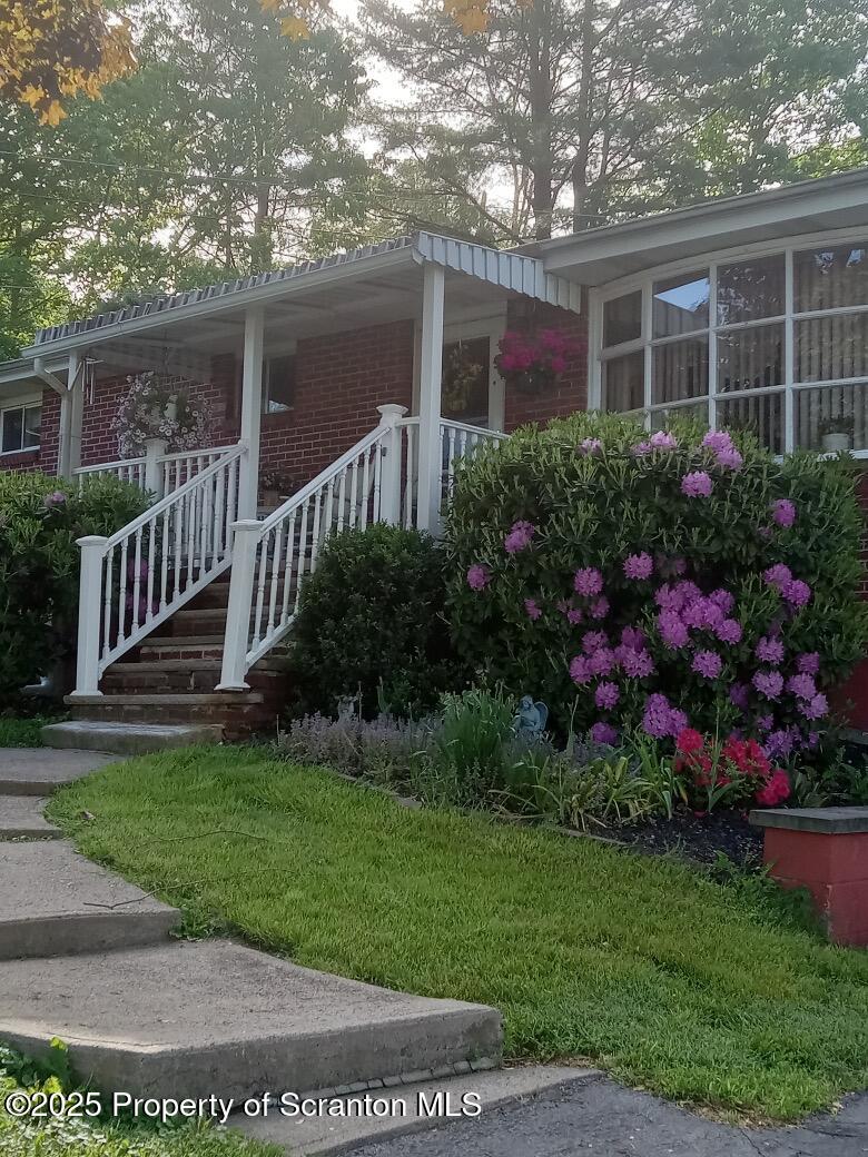 347 Terrace Avenue Shavertown, PA 18708 - Photo 8 of 59 a front view of house with yard and green space