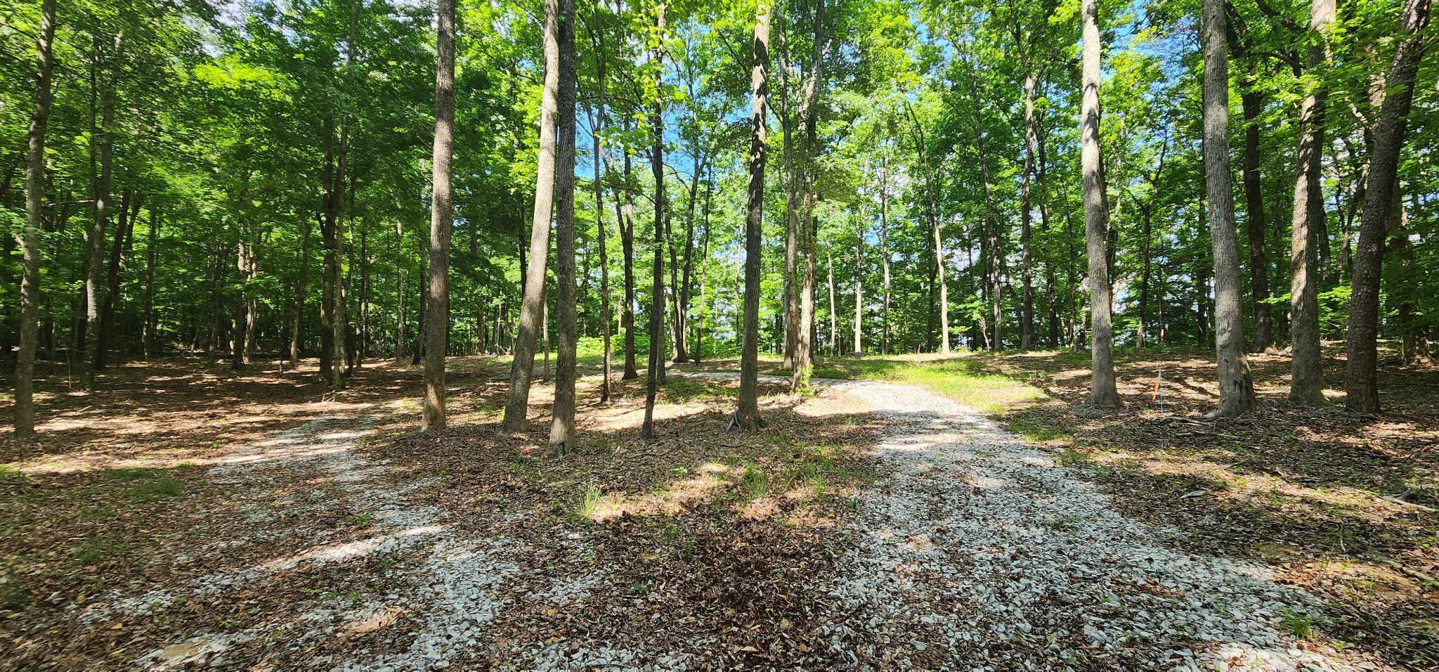 0 Roth Point Road Altamont, TN 37301 - Photo 49 of 49 a view of outdoor space with trees all around
