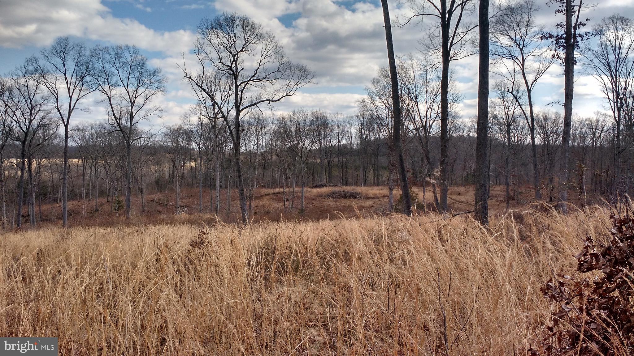 50 Acres Offers Beautiful Pastoral Views