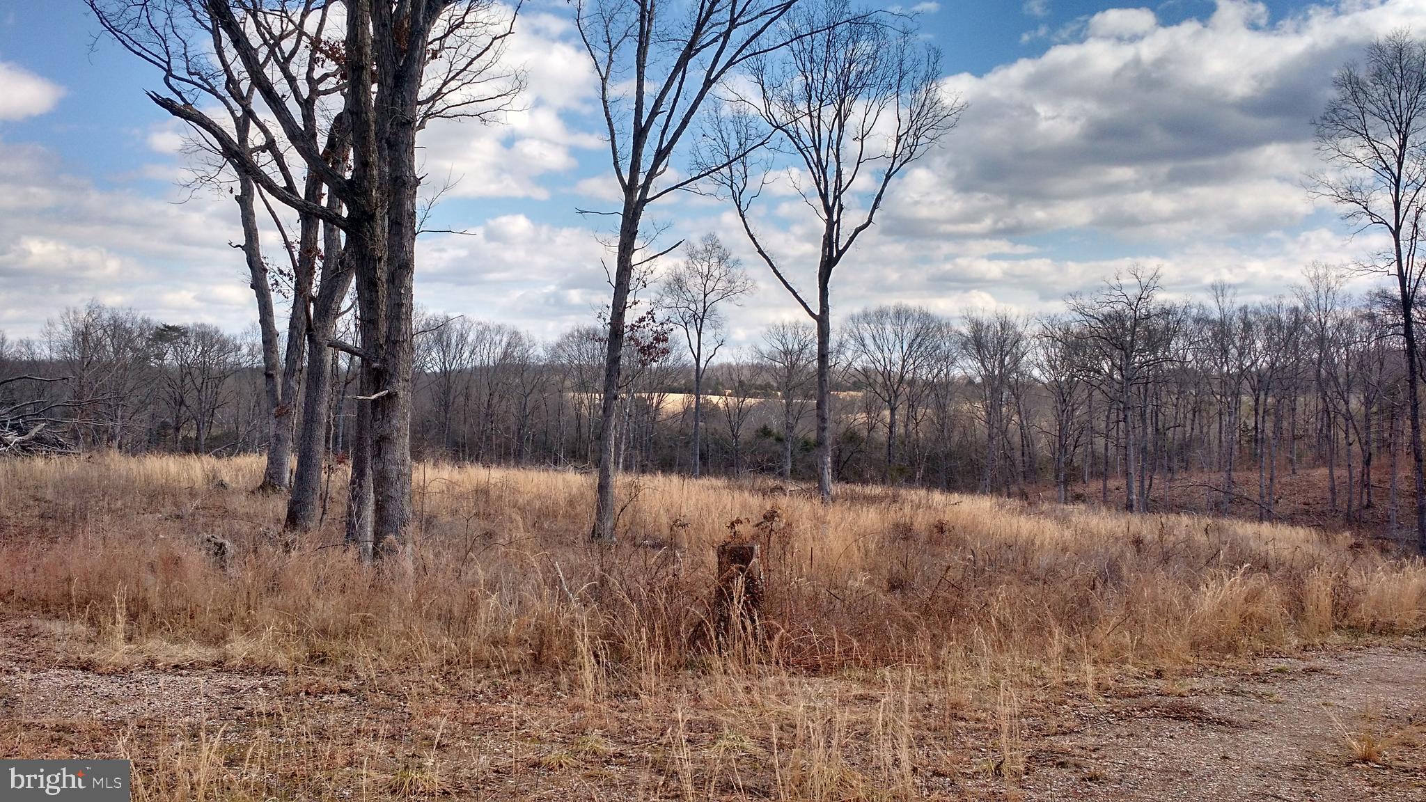 0 Ryland Chapel Road Rixeyville, VA 22737 - Photo 2 of 5 Gently Rolling Topograghy