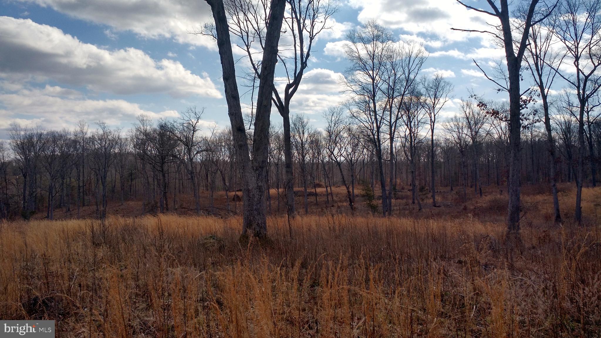 0 Ryland Chapel Road Rixeyville, VA 22737 - Photo 3 of 5 Partially Wooded, Easy to Clear