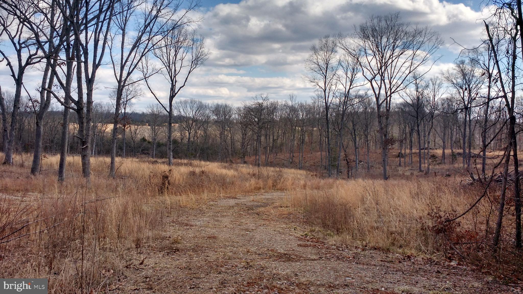 0 Ryland Chapel Road Rixeyville, VA 22737 - Photo 4 of 5 Existing Drive