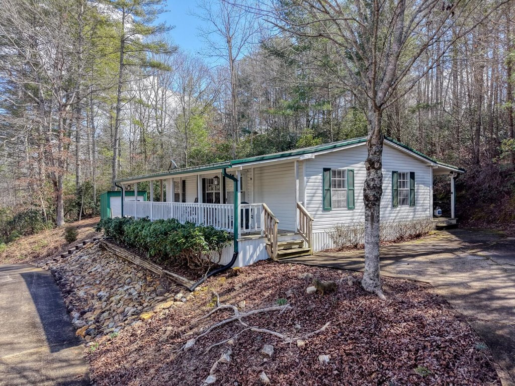 333 Reece Creek Road West Blairsville, GA 30512 - Photo 4 of 50