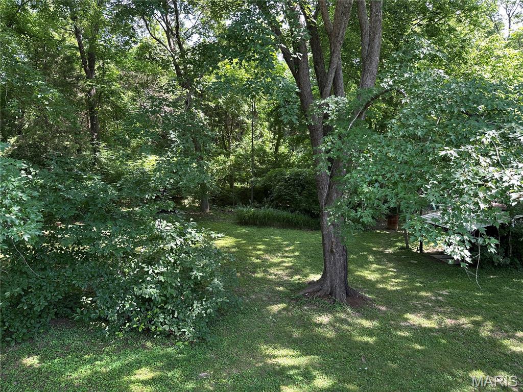 7727 Local Hillsboro Road Cedar Hill, MO 63016 - Photo 25 of 42