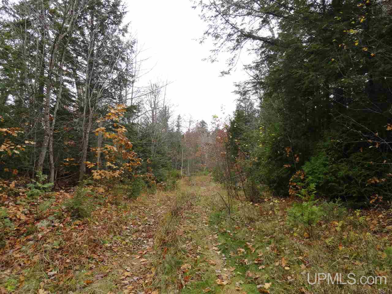510 Rd Marquette Mi 49855 Road Negaunee, MI 49866 - Photo 16 of 26