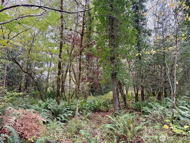 a backyard of a building with lots of green space