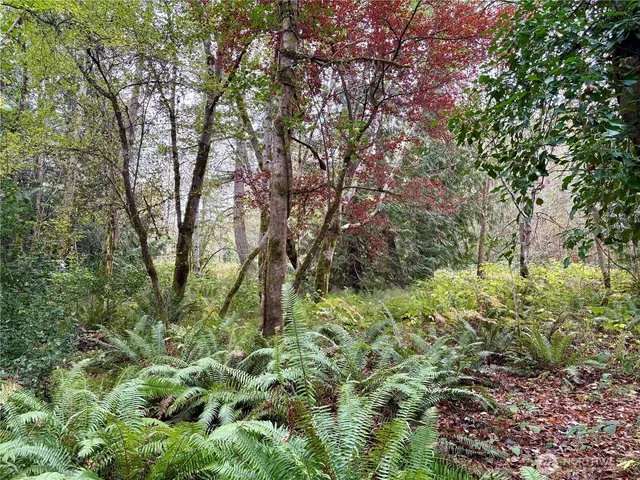 a backyard of a house with lots of green space