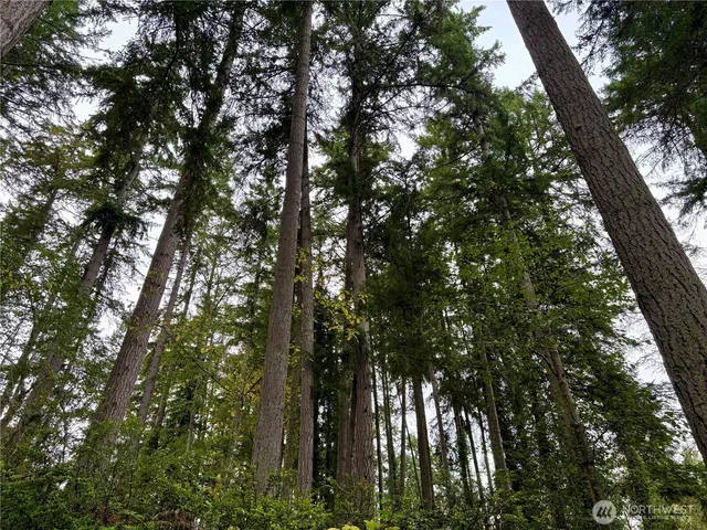 a view of a plant in a bathroom