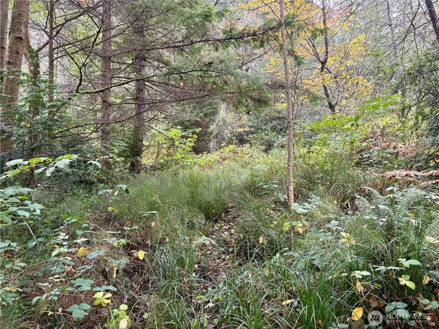 a view of a yard with wooden fence