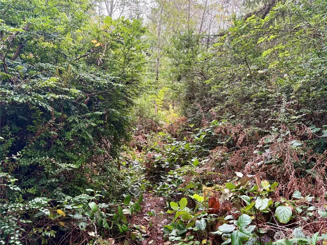 an aerial view of a house with a yard and outdoor space