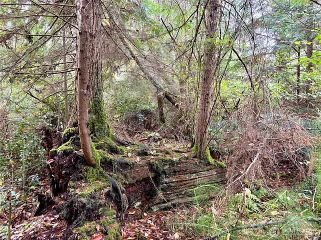 an aerial view of residential house with outdoor space and trees all around