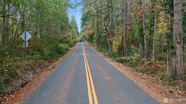 a city view from a balcony with two trees