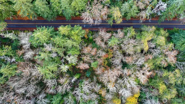 a small yard with lots of green space and plants