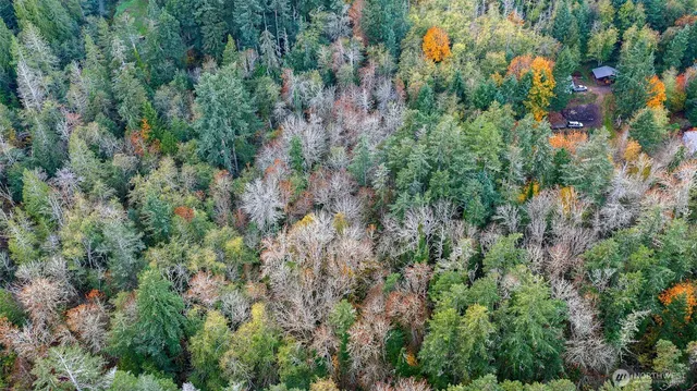a view of a lake and a mountain in the back