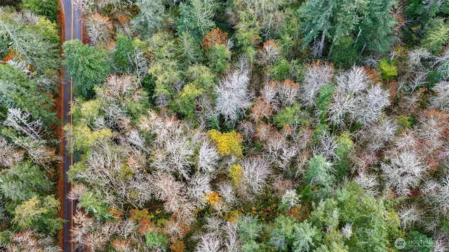 an aerial view of residential house with yard and swimming pool