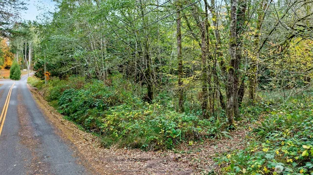 a view of a garden with plants