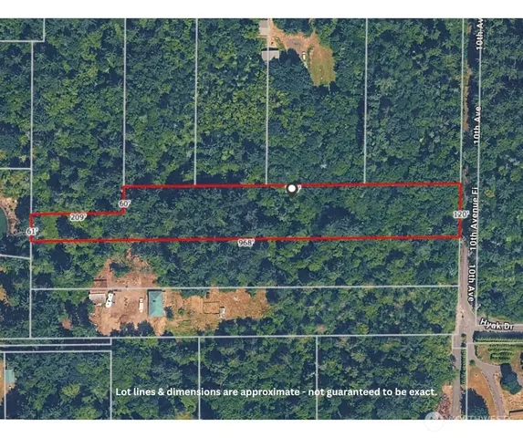 a backyard of a house with lots of plants and trees