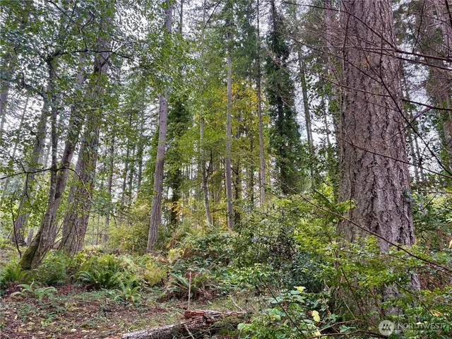 a backyard of a house with lots of plants and trees
