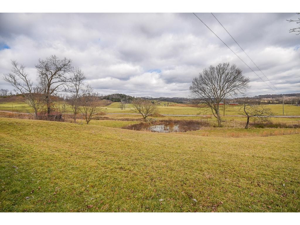 1895 Old Milburnton Road Limestone, TN 37681 - Photo 17 of 36 relax on the farm