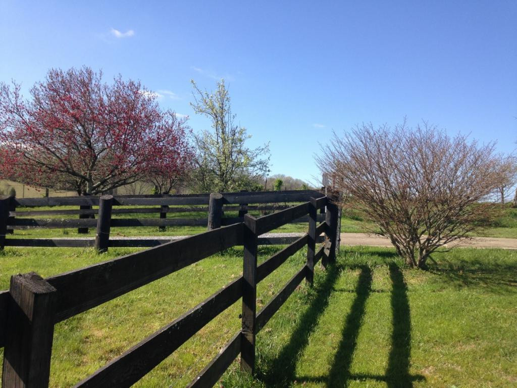 1895 Old Milburnton Road Limestone, TN 37681 - Photo 24 of 36 rows of fencing