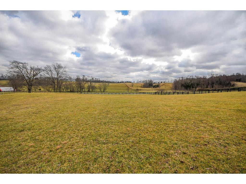 1895 Old Milburnton Road Limestone, TN 37681 - Photo 4 of 36 what a view